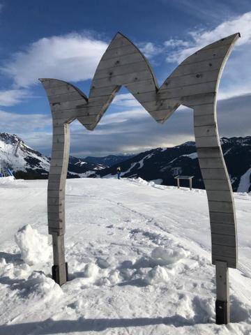 Tauernlodge Sonnblick Top 3 Mühlbach am Hochkönig Exteriör bild
